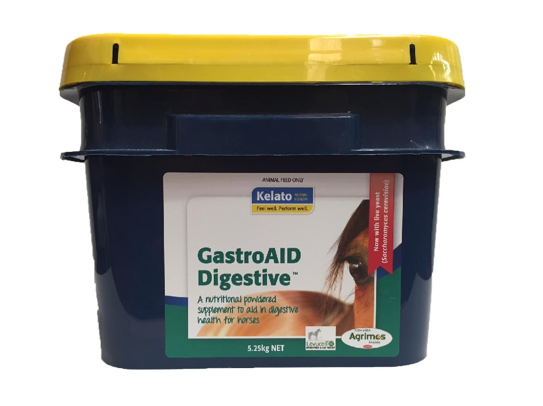 Kelato GastroAID Digestive supplement for horses in blue container.