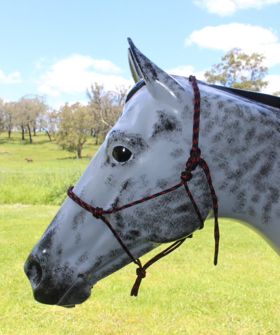 Nungar Headstall Knotted 6mm Black & Red Fleck-Ascot Saddlery-The Equestrian