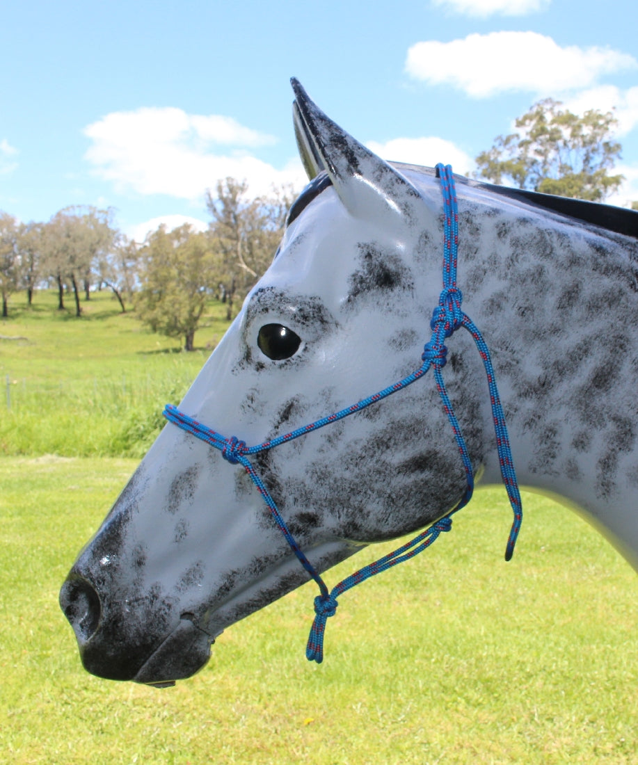 Nungar Headstall Knotted 6mm Blue & Red Fleck-Ascot Saddlery-The Equestrian