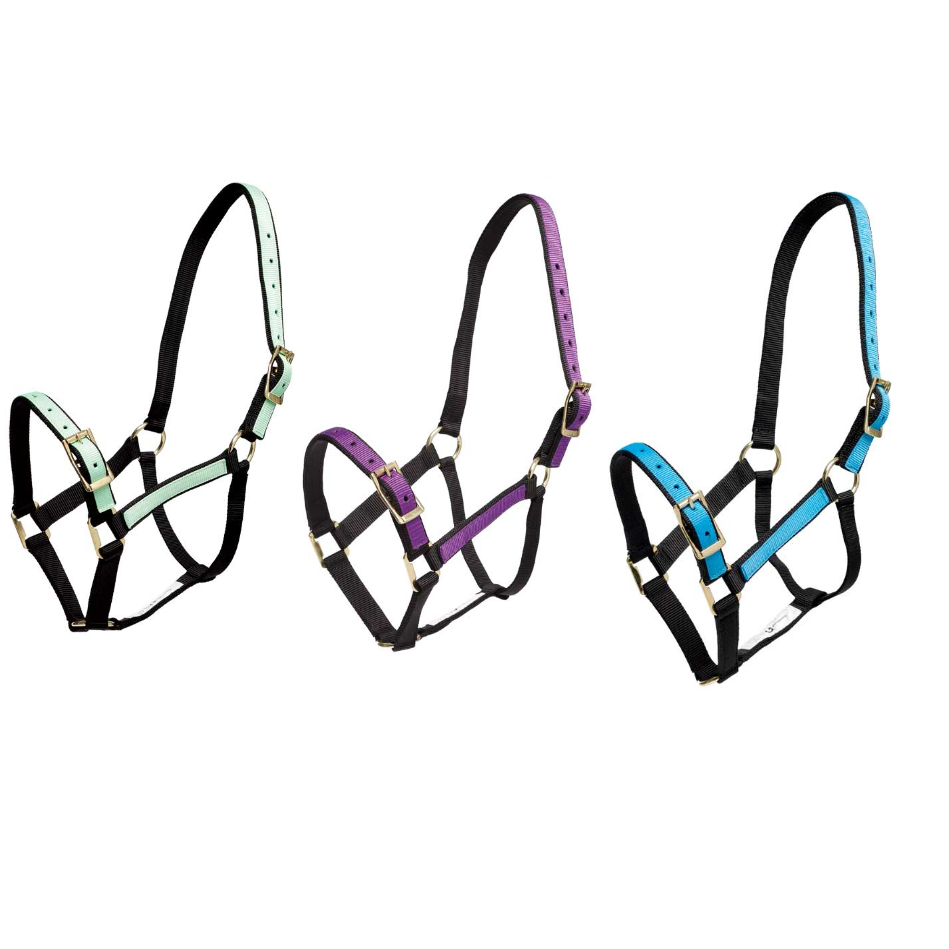 Halter Overlay-Trailrace Equestrian Outfitters-The Equestrian