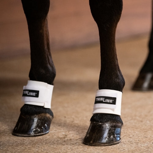 ThinLine Pastern Wraps-Trailrace Equestrian Outfitters-The Equestrian