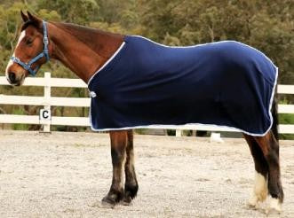 Polar Fleece Rug Blue-Ascot Saddlery-The Equestrian