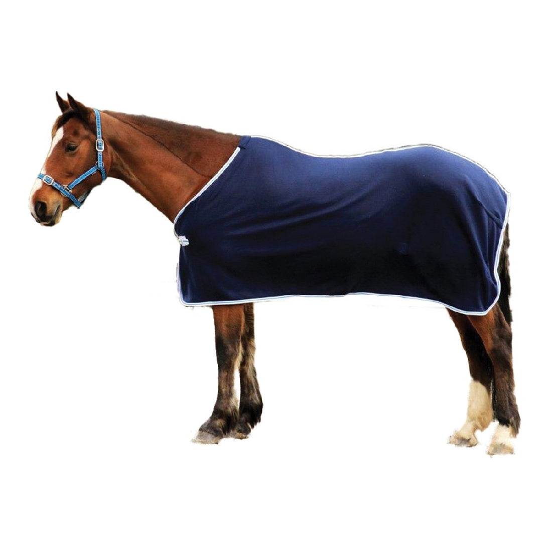 Polar Fleece Rug Blue-Ascot Saddlery-The Equestrian