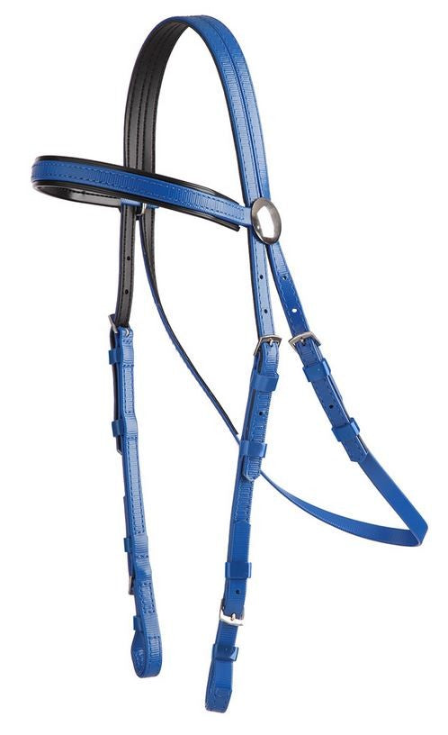 Bridle Head Pvc Full Royal & Black Trim-Ascot Saddlery-The Equestrian