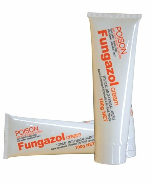 Fungazol Cream Ranvet-Ascot Saddlery-The Equestrian