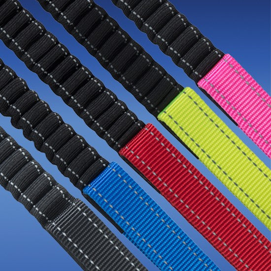 Colorful Rogz dog collars arranged diagonally on blue background.