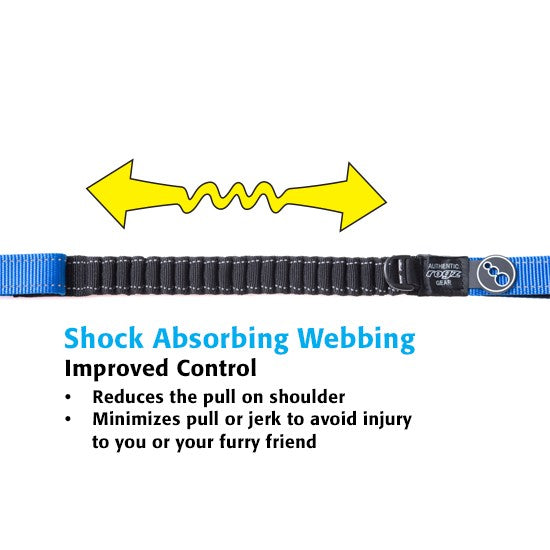 Rogz brand shock absorbing blue dog leash with features listed.