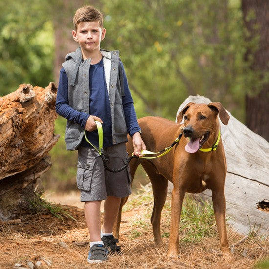 Boy with a dog on a Rogz leash in the woods.