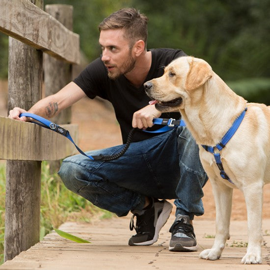 Man with a dog using a Rogz leash on a wooden path.