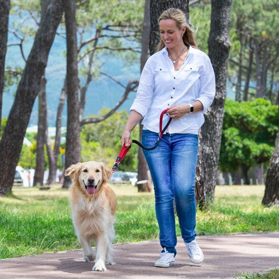 Woman walking dog with Rogz leash in a park.