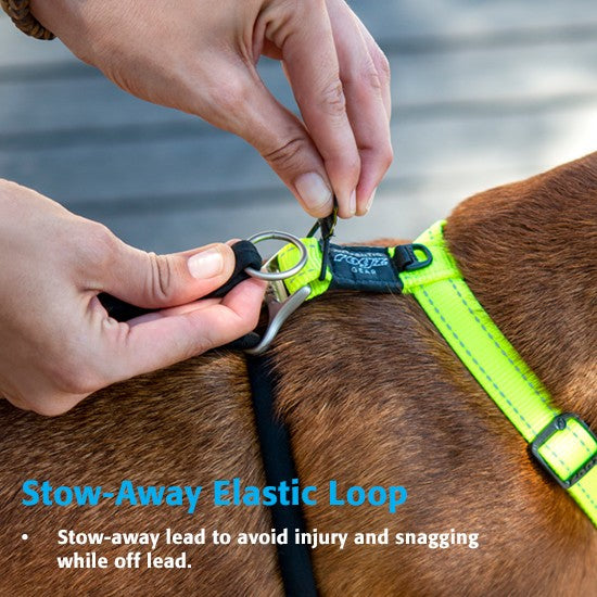 Person attaching Rogz stow-away elastic loop on dog's harness.