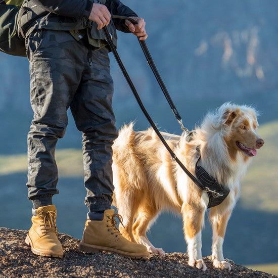 Person hiking with dog wearing Rogz harness.