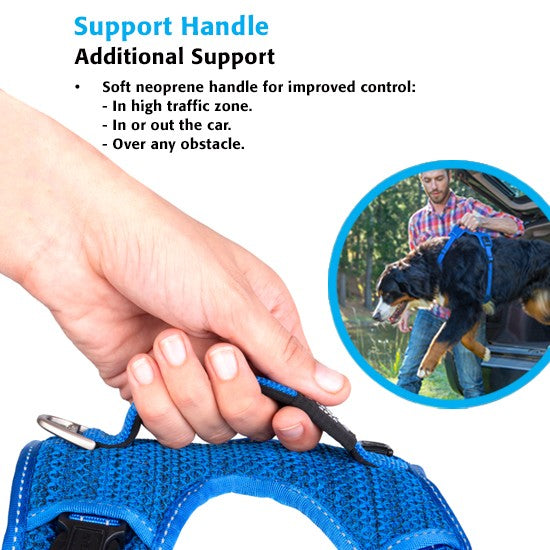 Alt text: Hand holding blue Rogz dog harness with support handle.