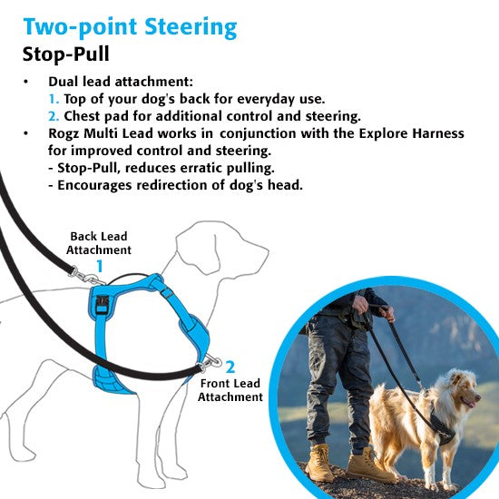 Rogz harness infographic with dog being walked in background.