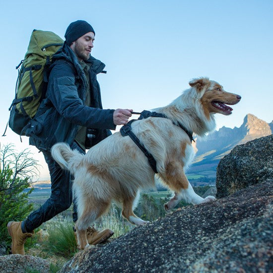 Man hiking with dog wearing Rogz harness outdoors.