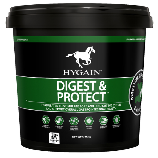 Hygain Digest & Protect-Southern Sport Horses-The Equestrian