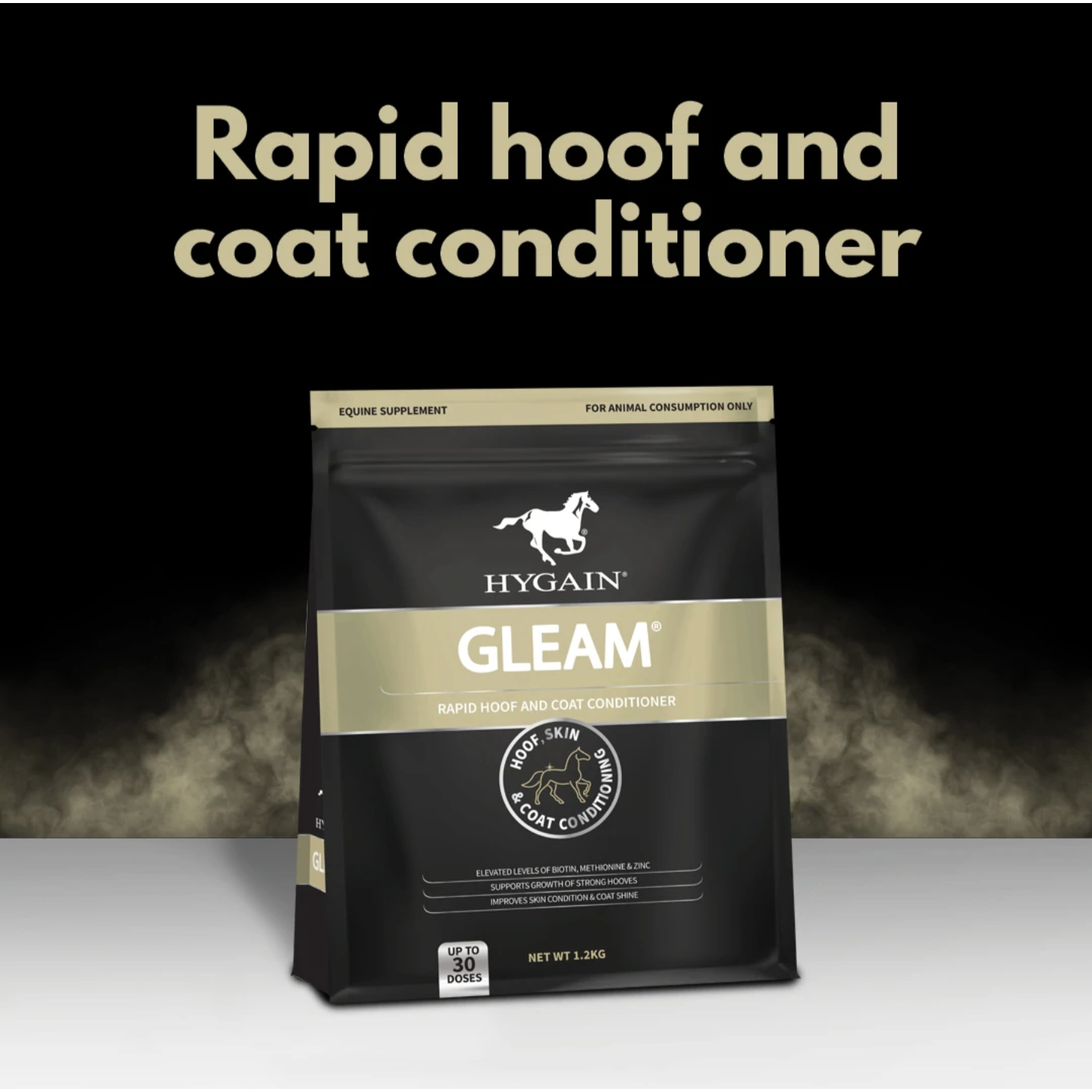 Hygain Gleam-Southern Sport Horses-The Equestrian