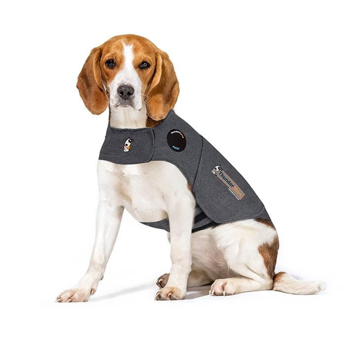 Thunder Anxiety Dog Shirt-Ascot Saddlery-The Equestrian