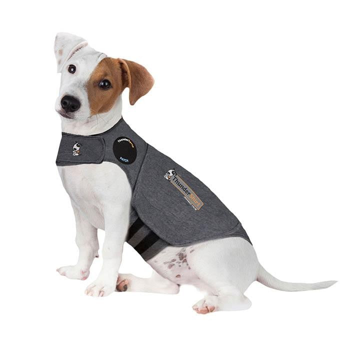 Thunder Anxiety Dog Shirt-Ascot Saddlery-The Equestrian