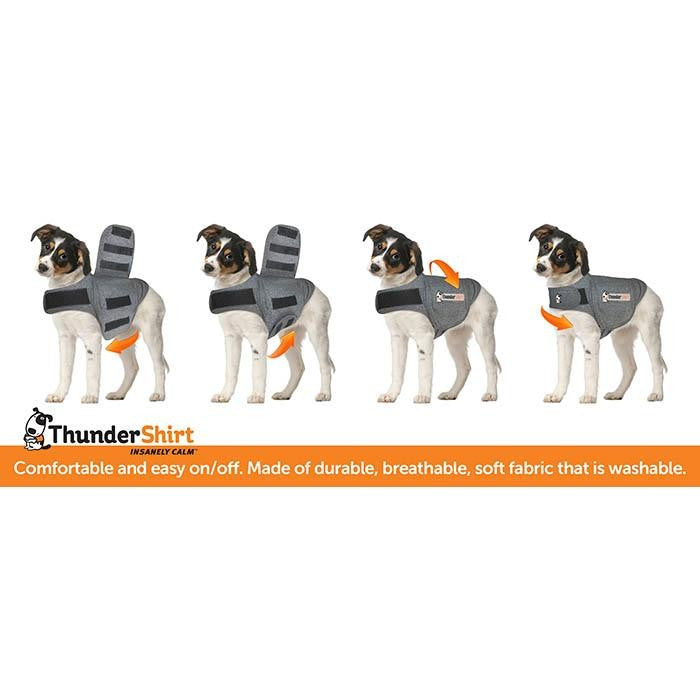 Thunder Anxiety Dog Shirt-Ascot Saddlery-The Equestrian