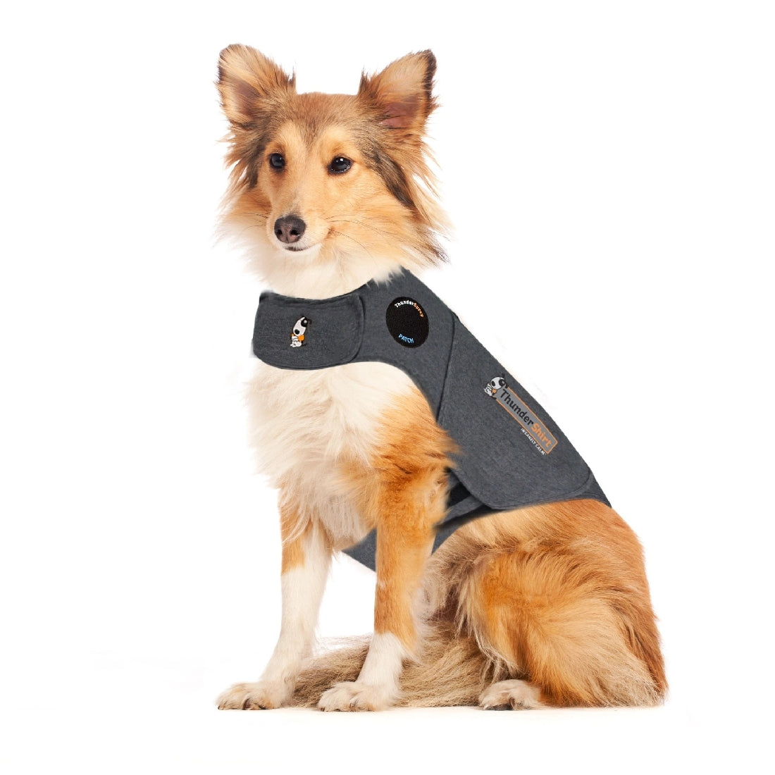 Thunder Anxiety Dog Shirt-Ascot Saddlery-The Equestrian