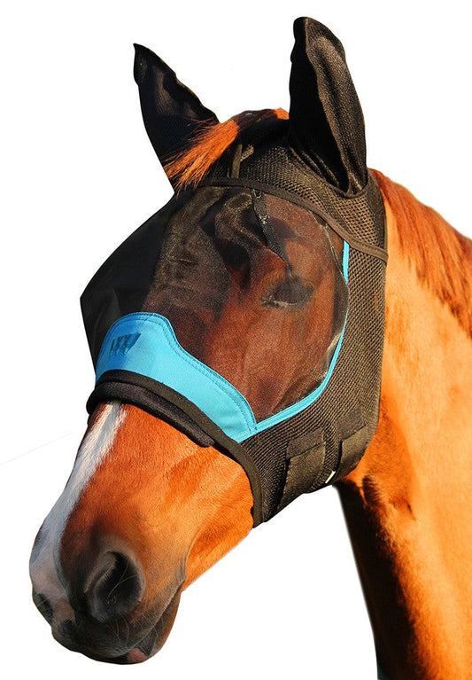 Brown horse wearing a black fly veil for horses.