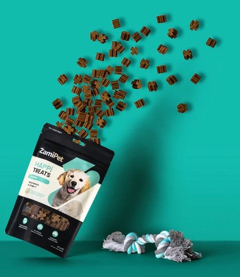 ZamiPet dog treats cascading from bag, rope toy nearby.