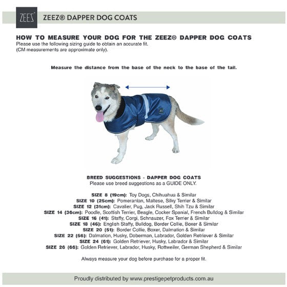 Dog in blue Zeez coat with measurement instructions.