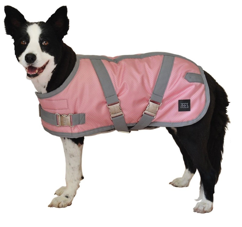 Black and white dog wearing a pink Zeez dog coat.