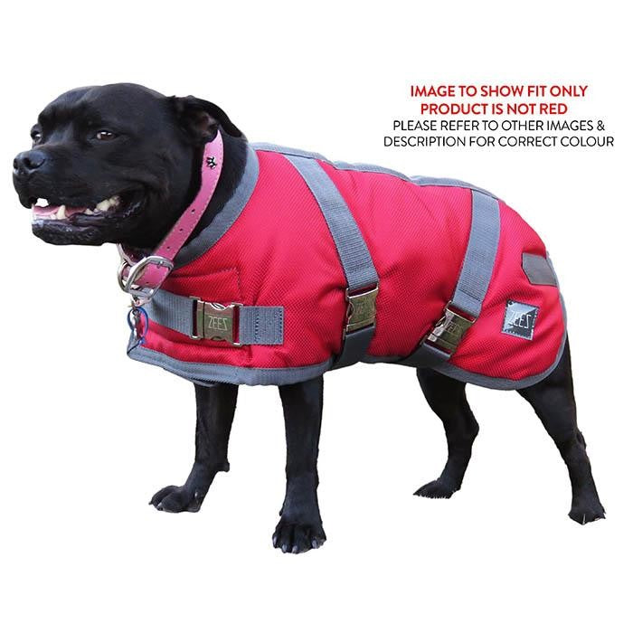 Black dog wearing a red Zeez dog coat, smiling.