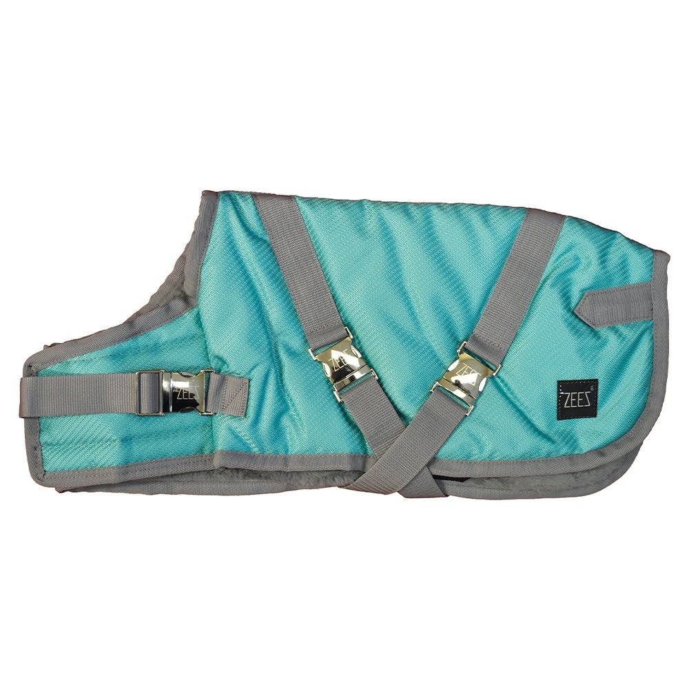 Aqua Zeez dog coat with gray straps and buckles.