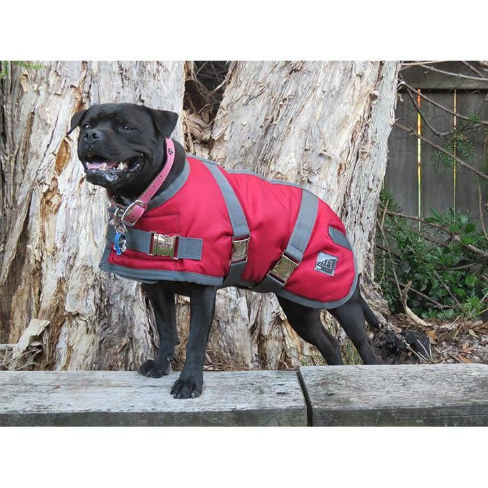 Dog wearing red Zeez coat standing on wooden plank outdoors.