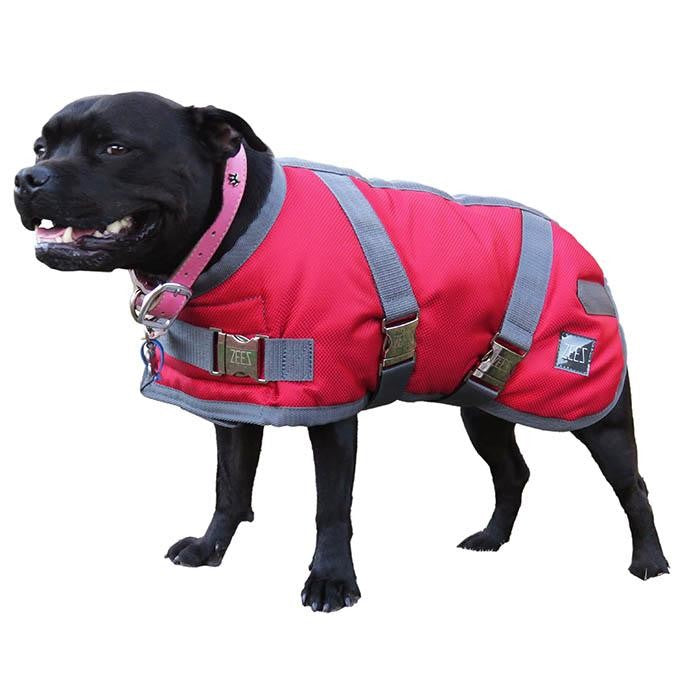 Black dog wearing a red Zeez dog coat, pink collar.