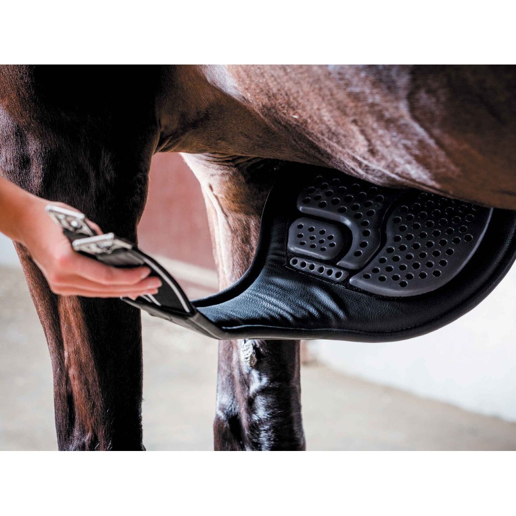 Acavallo Gel Anatomic StudGirth-Southern Sport Horses-The Equestrian