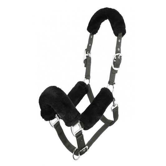 LeMieux Comfort Head Collar-Southern Sport Horses-The Equestrian