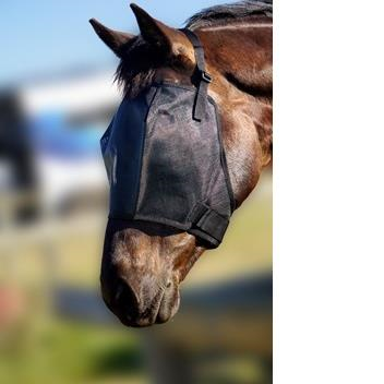 Horse wearing black fly veil, outdoor blurred background.