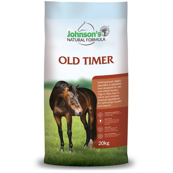 Johnsons Old Timer-Southern Sport Horses-The Equestrian