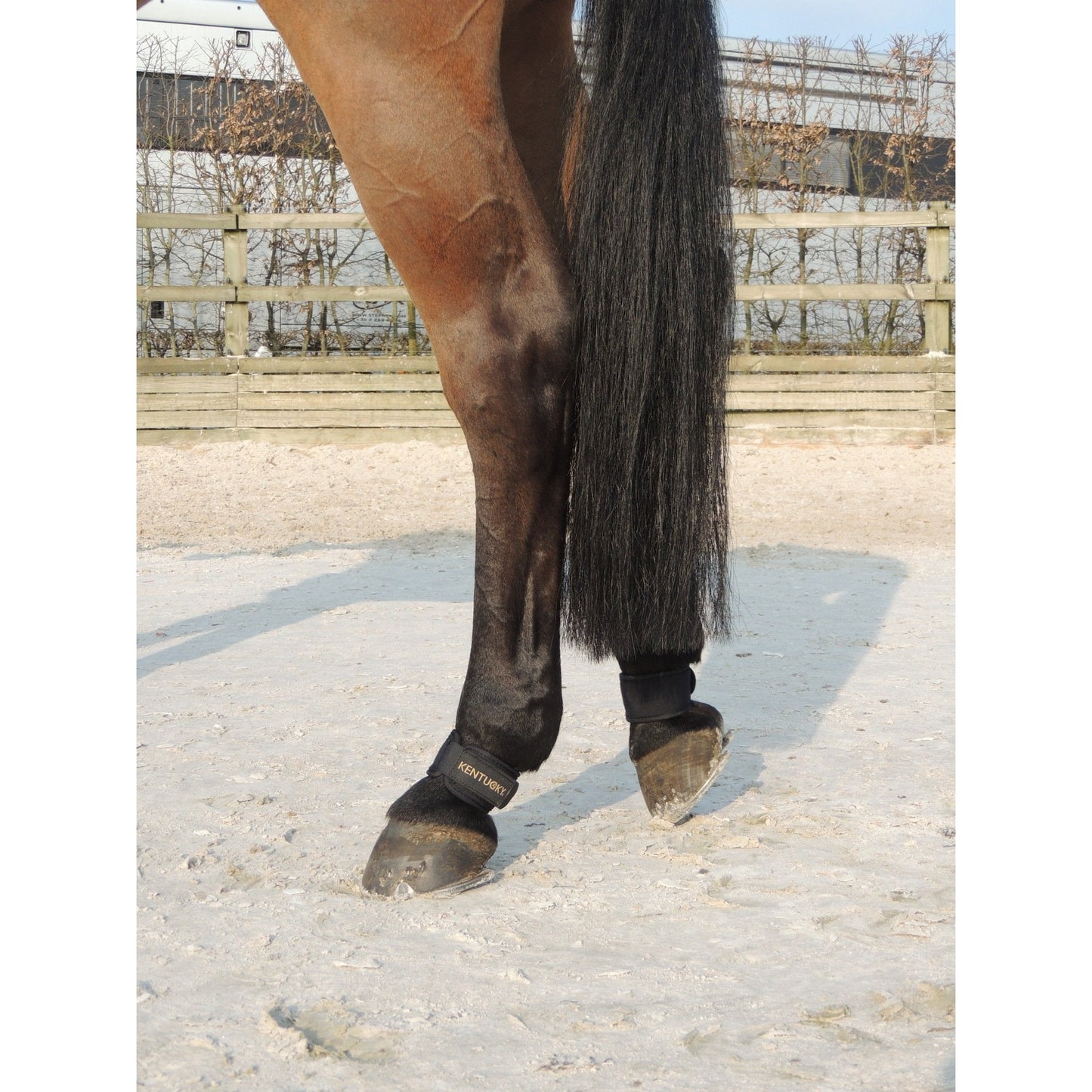 Kentucky Horsewear Pastern Wraps-Trailrace Equestrian Outfitters-The Equestrian