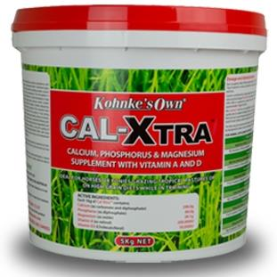 Kohnke's Own Cal Xtra-Trailrace Equestrian Outfitters-The Equestrian