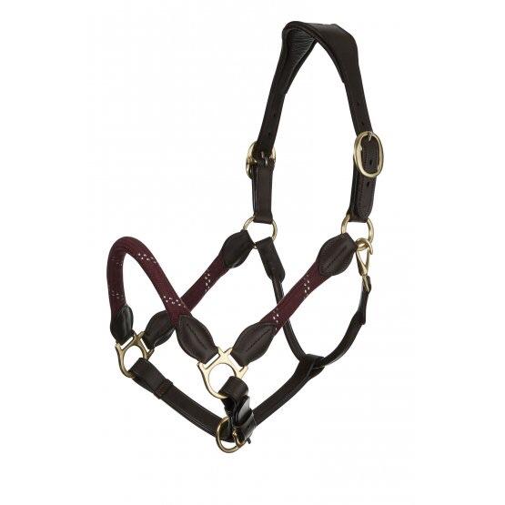 LeMieux Lasso Headcollar-LeMieux-Southern Sport Horses