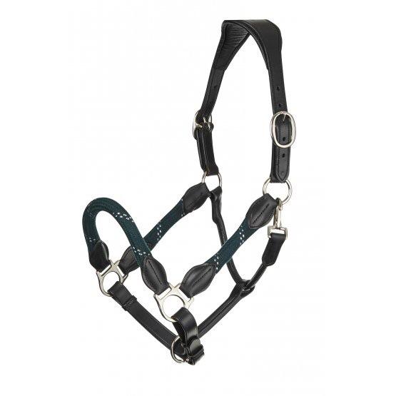 LeMieux Lasso Headcollar-LeMieux-Southern Sport Horses