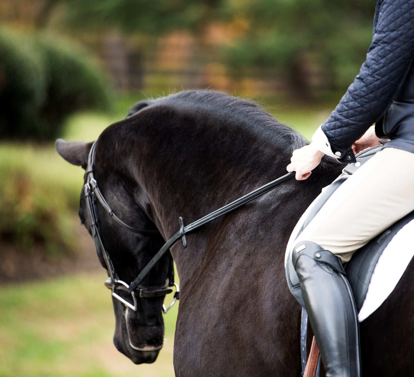 Person riding a black horse with Thinline reins and saddle.