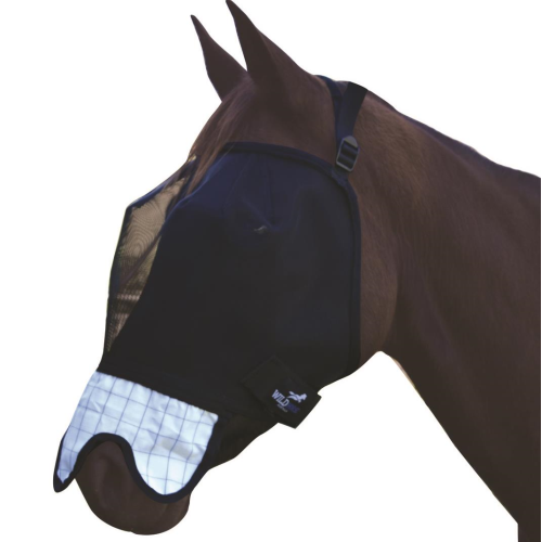 Brown horse wearing a black and white fly veil.